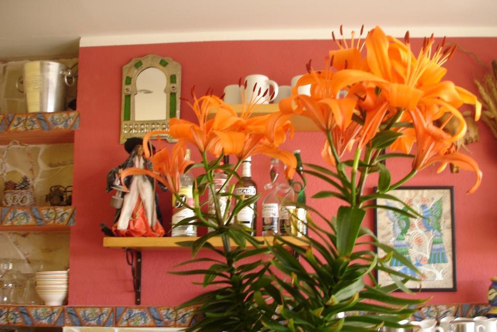 Pension El Hidalgo Calp Extérieur photo